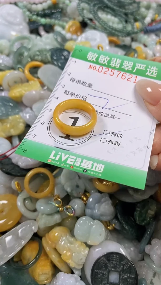 翡翠未镶嵌颈饰闪购0257621