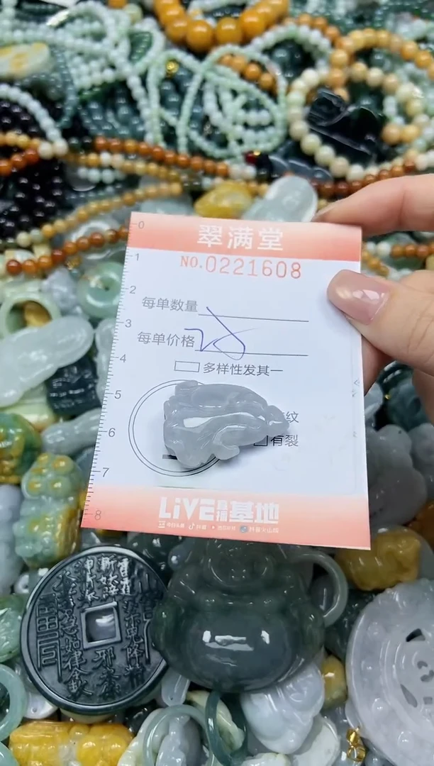 颈饰未镶嵌翡翠闪购0221608