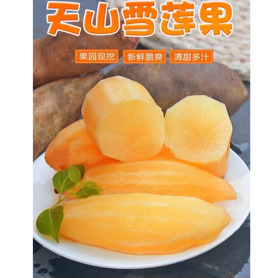 云南天山雪莲果应季新鲜现挖黄心水果清甜脆爽多汁