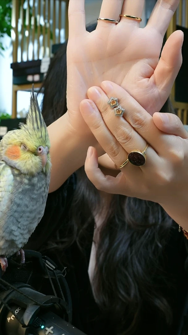 合金无纯铜无耳钉-黄水水-69.9