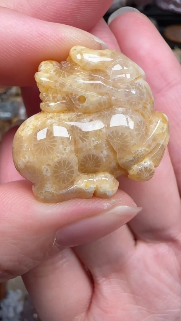 颈饰未镶嵌硅化珊瑚（珊瑚玉）342