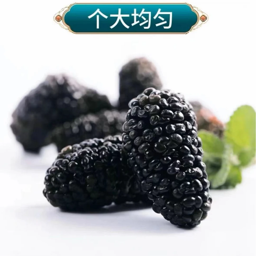 现收山货-黑-桑-葚 500克