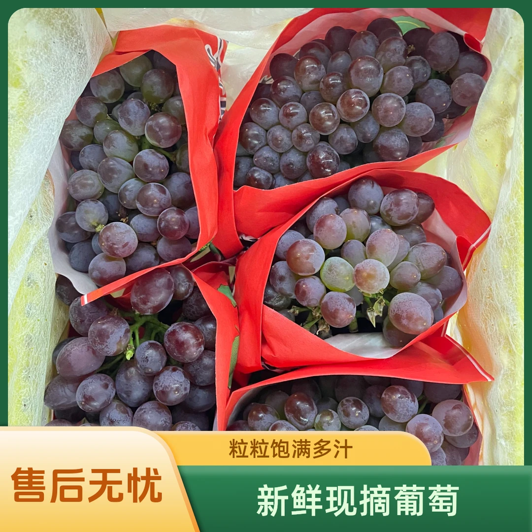 【茉莉香葡萄】份/1盒仅限柳林离石中阳可拍
