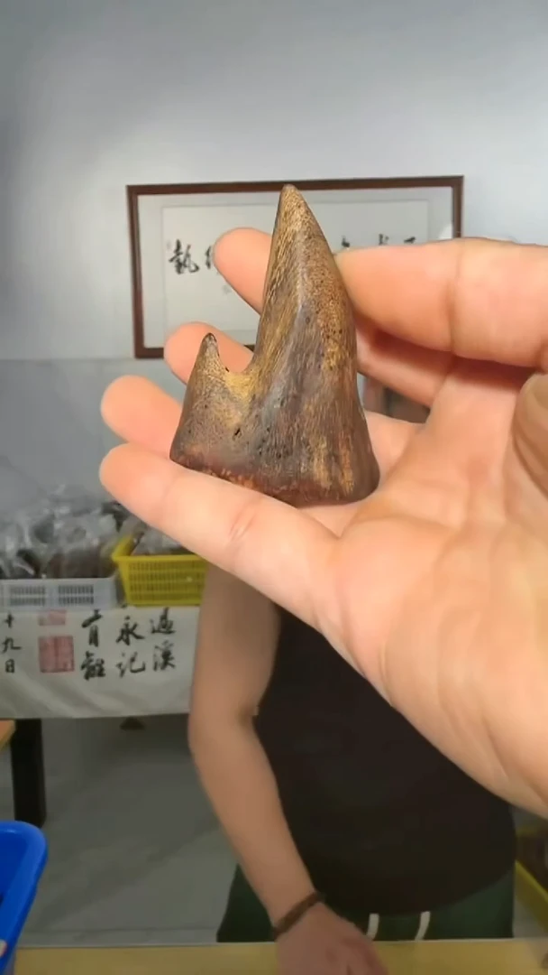 沉香手把件138号手把件36g多样性发一