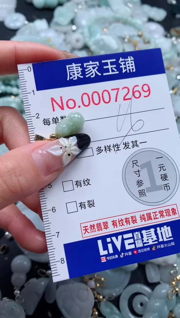颈饰未镶嵌翡翠7269
