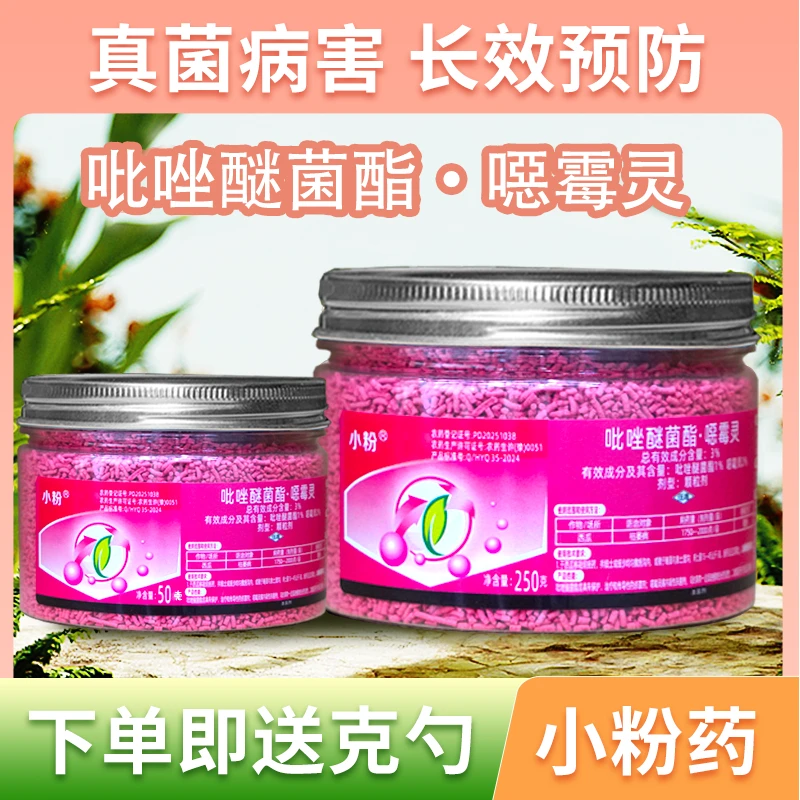 【厂家直销】小蓝小粉组合套餐种植园艺通用船长花园多肉花卉绿植