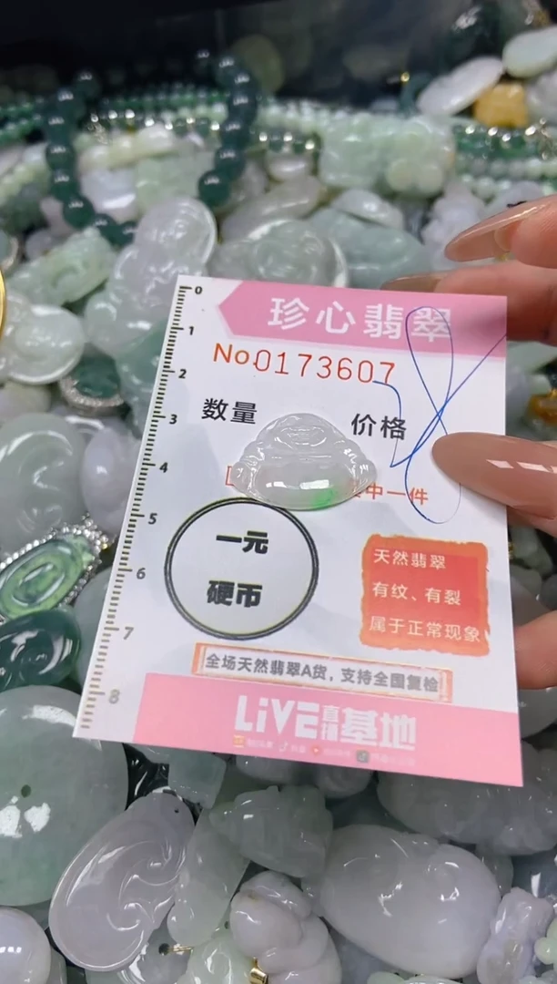 【闪购商品】翡翠颈饰未镶嵌闪购0173607