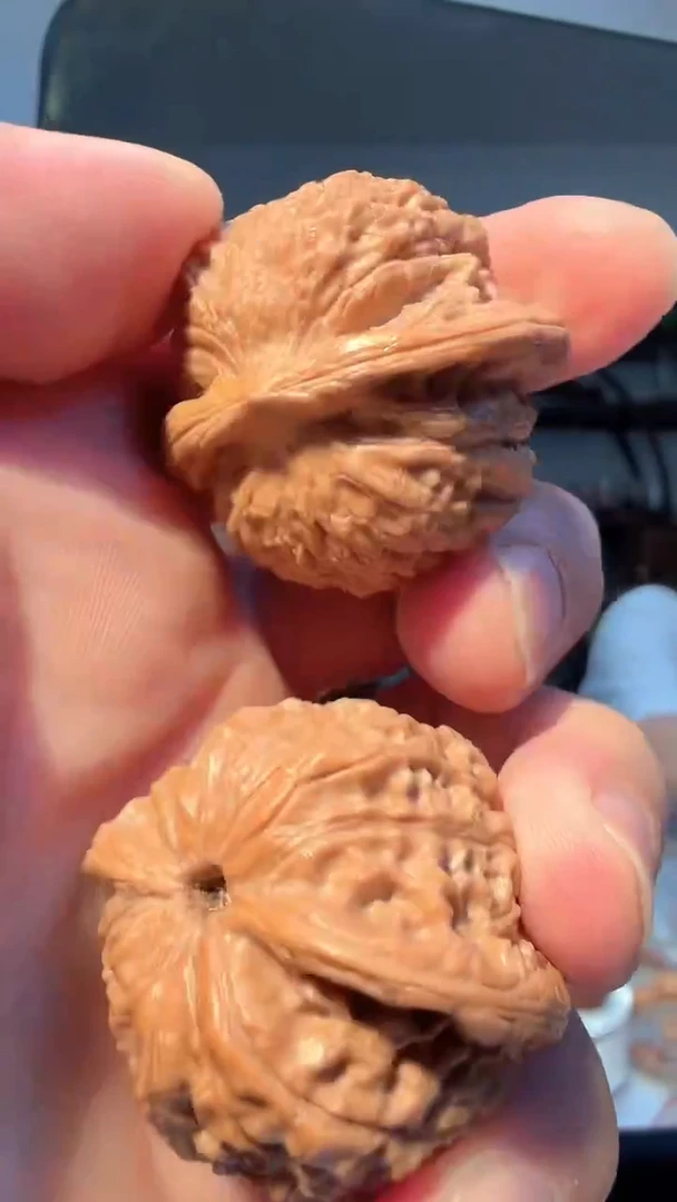 大叶紫檀（黑酸枝木类）015血麒麟38-37