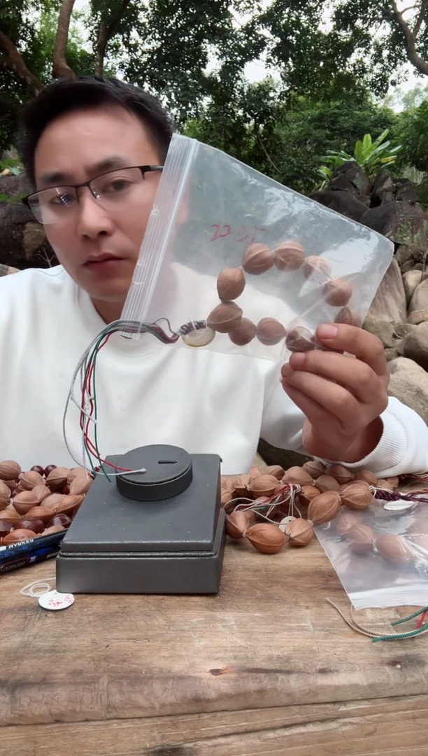 【闪购商品】橄榄核手串2025 梅林铁核夹板手串1300