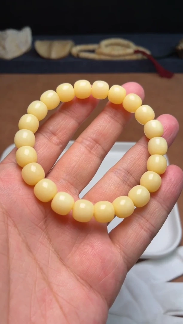 牛骨其他N151-超顶老型单圈