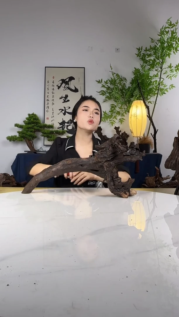 氧*拍这个定向编号65