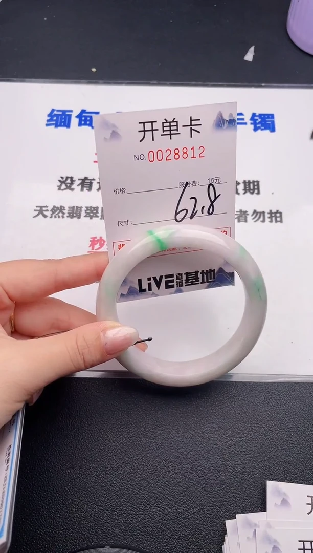 未镶嵌手镯翡翠12