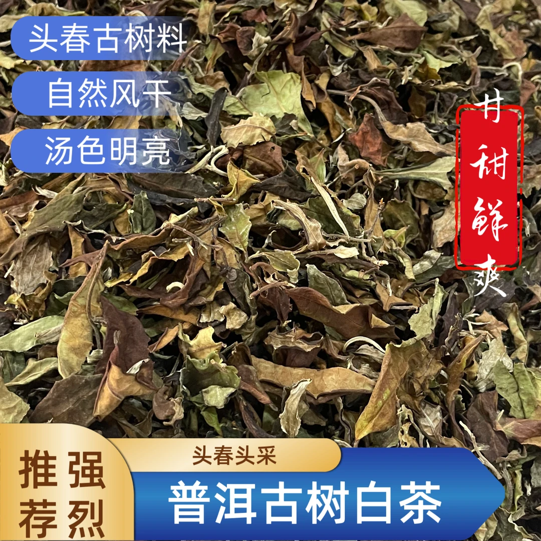 云南原产古树原料制成的散茶型高品质古树白茶陈香耐泡高级茶叶