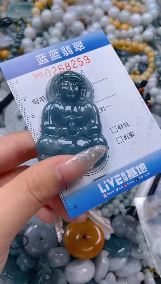 翡翠未镶嵌颈饰闪购0268259多样性发其一