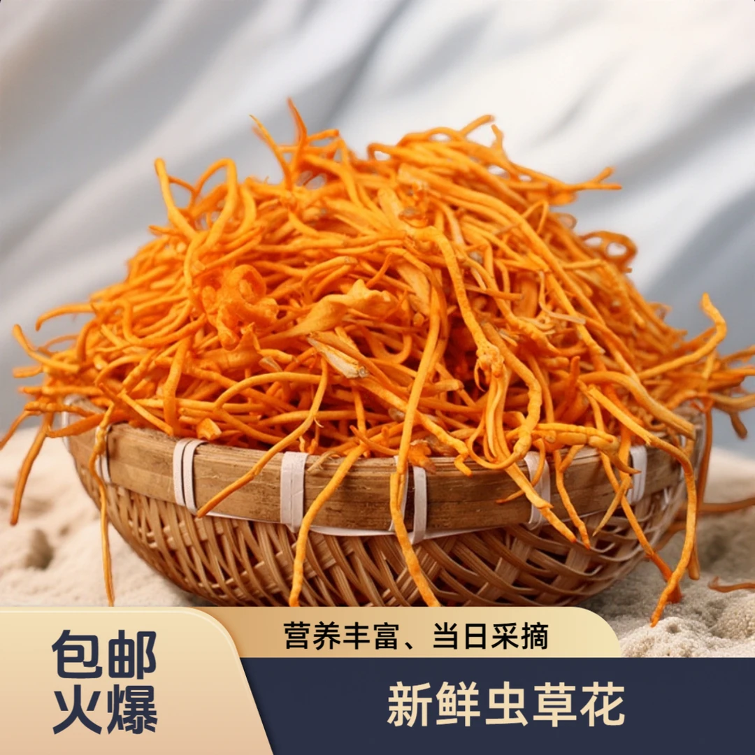 【新鲜虫草花】深山虫草花现采现摘北虫草煲汤炒肉炒营养食材金虫草