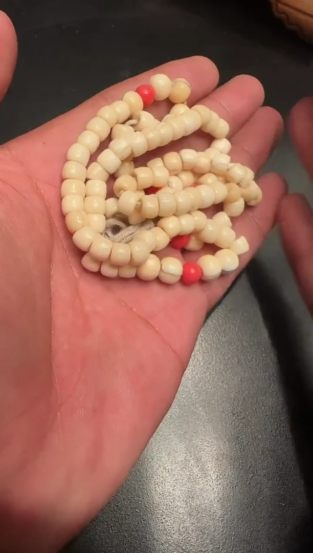 高白高白高白念珠