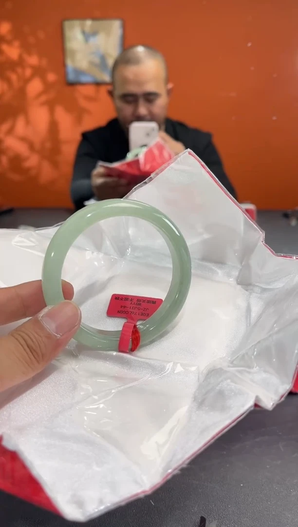 未镶嵌手镯翡翠4