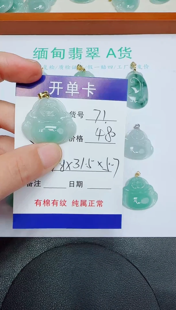 翡翠未镶嵌吊坠(赠链)71
