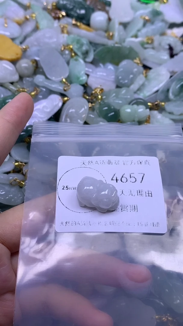 颈饰未镶嵌翡翠1