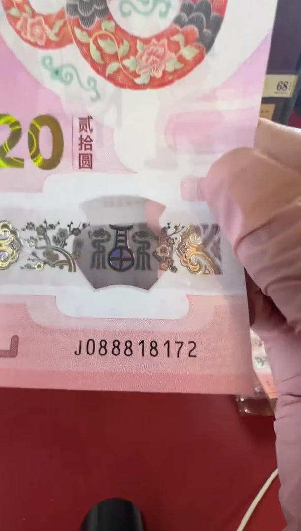 【闪购商品】塑料25蛇钞088818172单张裸