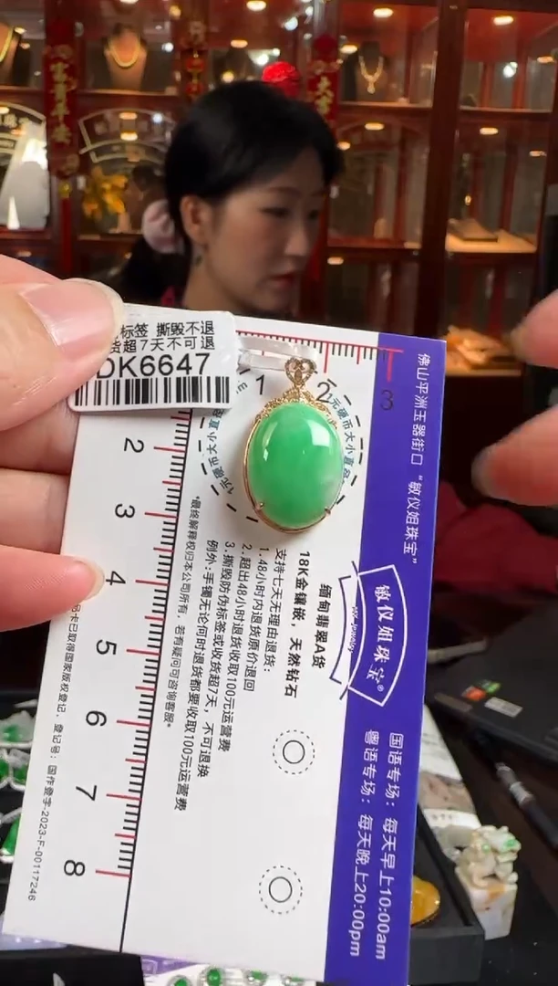 颈饰18K金镶嵌翡翠DK6647绿蛋面