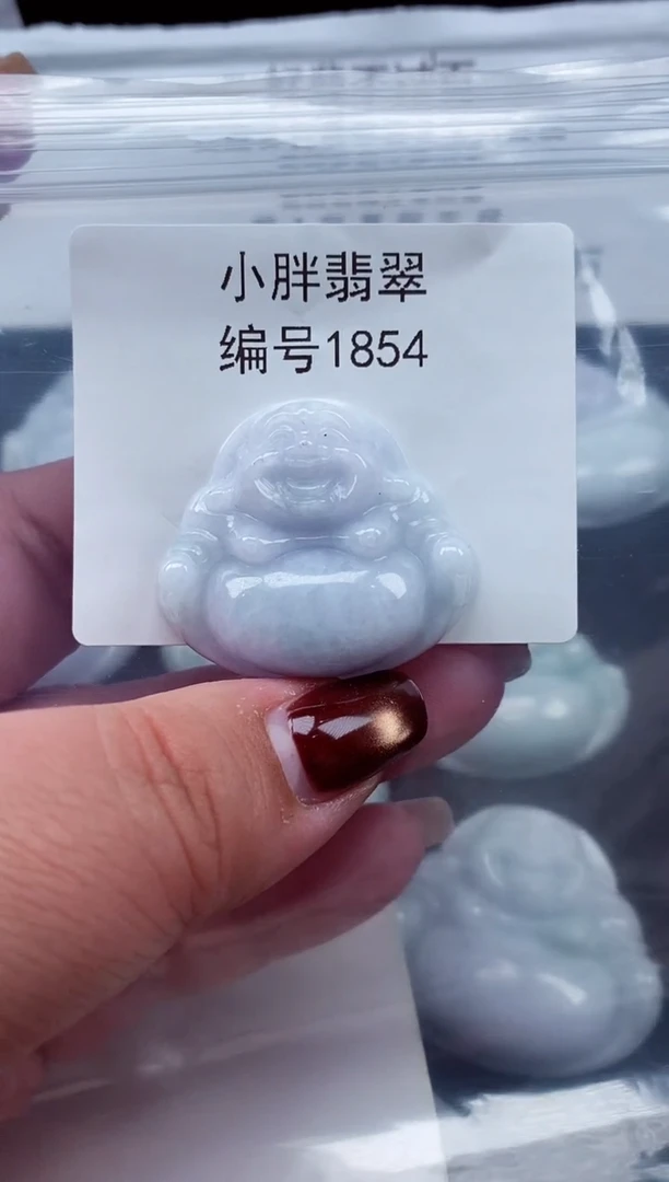 颈饰未镶嵌翡翠缅甸天然A货翡翠1854