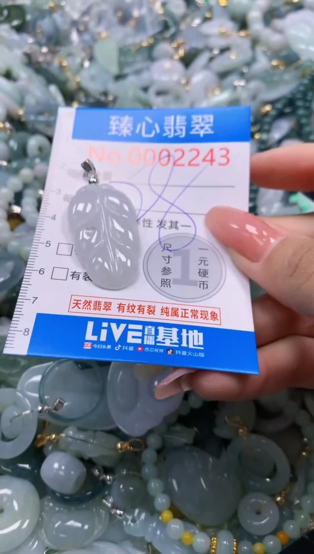 翡翠未镶嵌颈饰2243