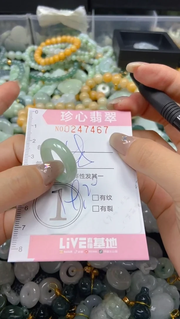 翡翠未镶嵌颈饰闪购0247467
