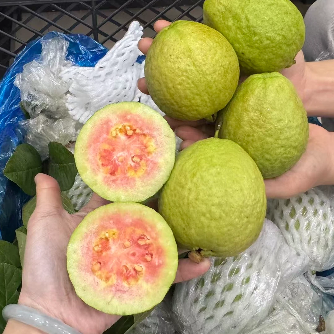 精品福建红心芭乐/1000g
