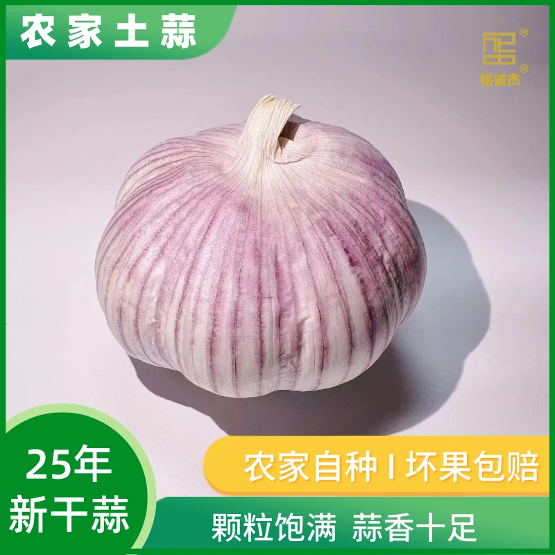 25年新A金乡干蒜头紫白香蒜农家风干土蒜紫白皮大蒜批发1/3/5/9斤