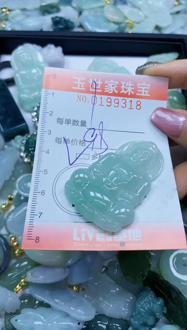 【闪购商品】翡翠颈饰未镶嵌闪购0199318多样性发其一