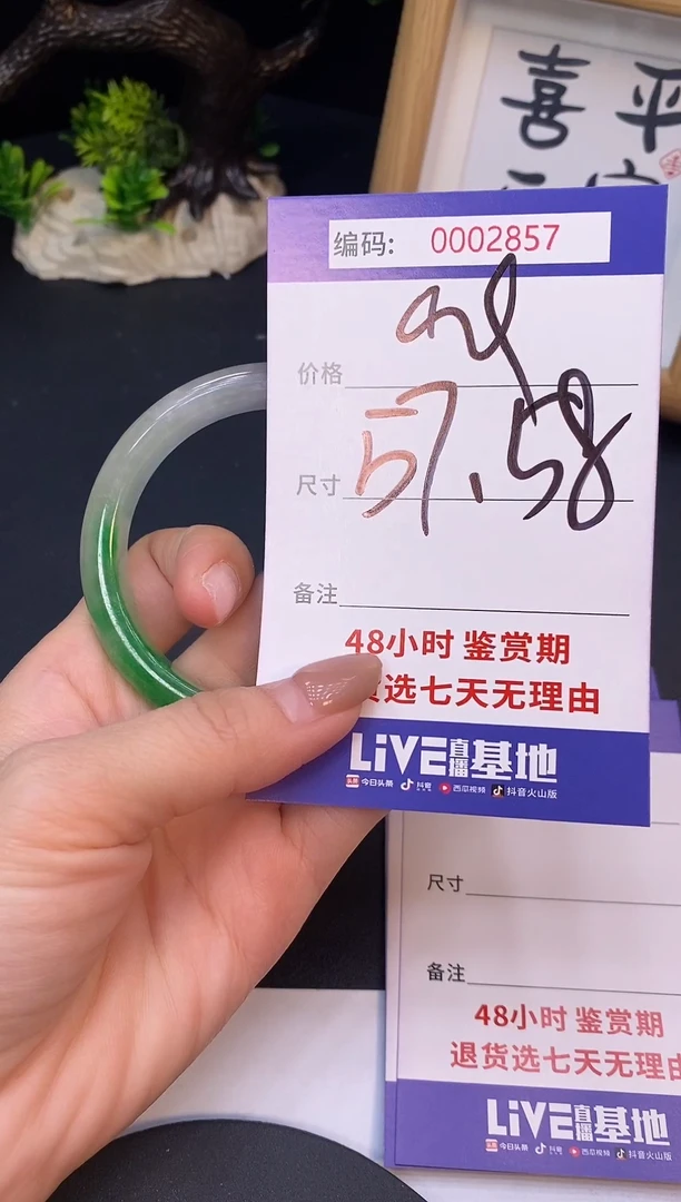 未镶嵌手镯翡翠0002857