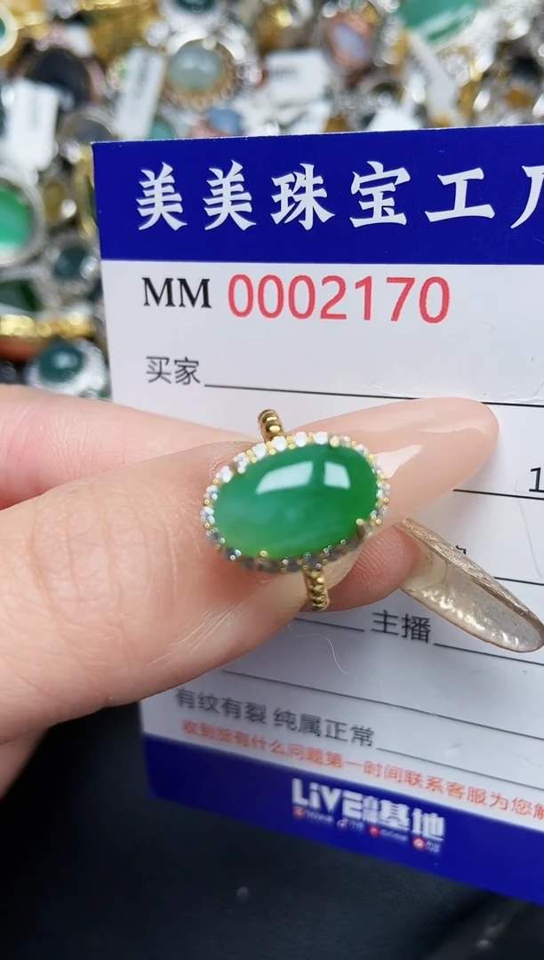 【闪购商品】翡翠颈饰银S925镶嵌2170