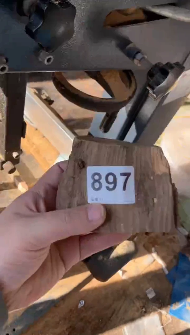 【闪购商品】柏木太行山陈化崖柏（津诚林）切片