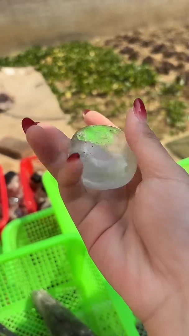 【闪购商品】水晶摆件未镶嵌幽灵手把件 057