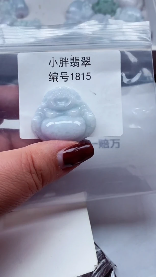 颈饰未镶嵌翡翠缅甸天然A货翡翠1815