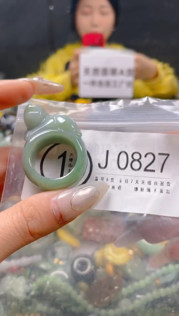 【闪购商品】翡翠颈饰未镶嵌21/J/翡翠A货一图一物