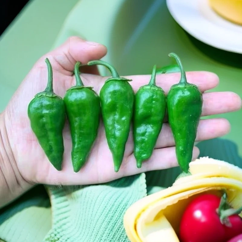 正宗余干薄皮辣椒精品小辣椒现摘摘农家爆辣薄皮子弹头小青椒包邮