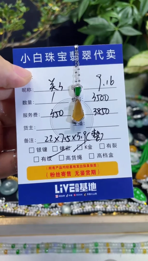 套链18K金镶嵌翡翠关**鸠套链