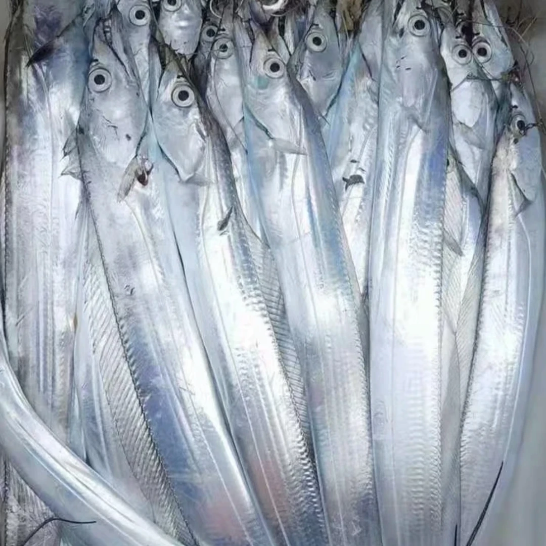 丨南海海域 野生油带鱼 大带鱼 顺丰冷链 码头直发