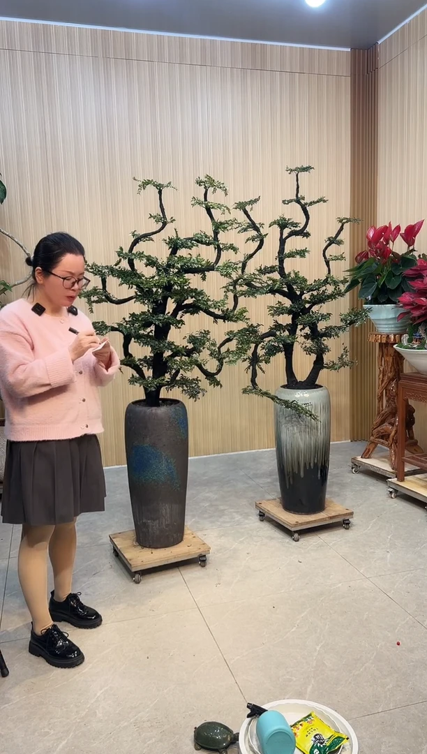 无花朵中***虹广东小叶紫檀复古盆