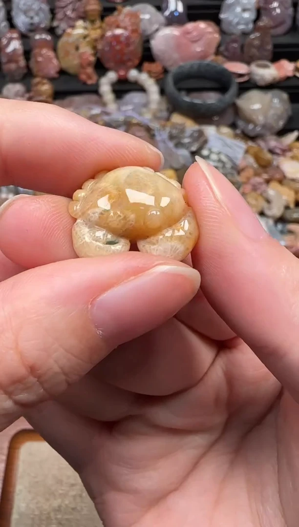 颈饰未镶嵌硅化珊瑚（珊瑚玉）062