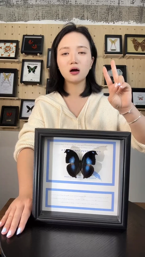 爱情鸟蛱蝶（蝴蝶装饰画8寸框）