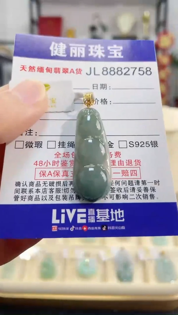 颈饰18K金镶嵌翡翠天然缅甸翡翠A货 富贵豆(一物一证)+银链