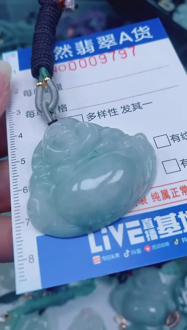 颈饰未镶嵌翡翠00009797