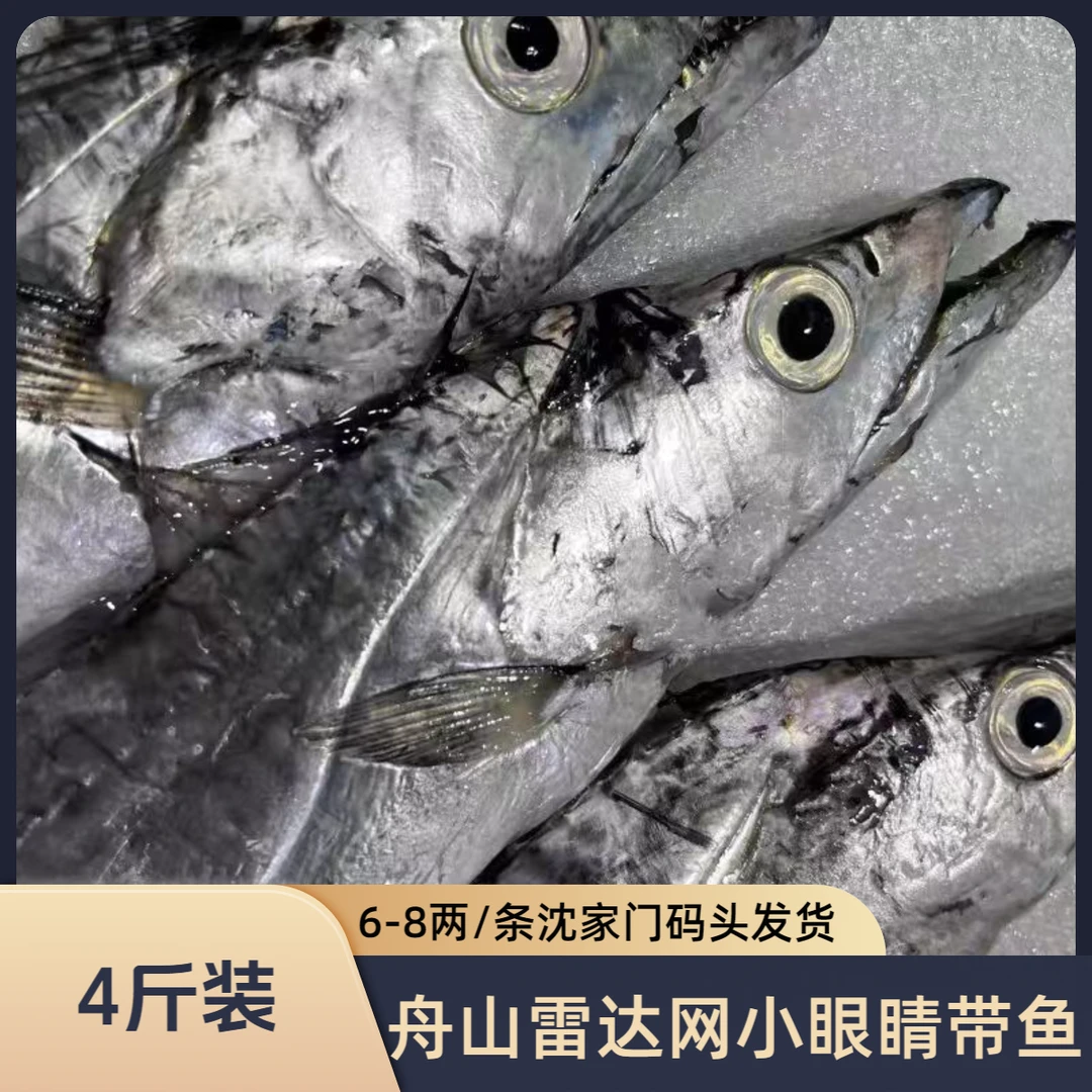 4斤装正宗舟山野生新鲜雷达网小眼睛带鱼东海野生海捕6-8两/条