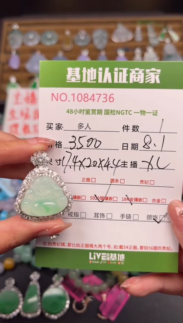 翡翠银S925镶嵌颈饰多人