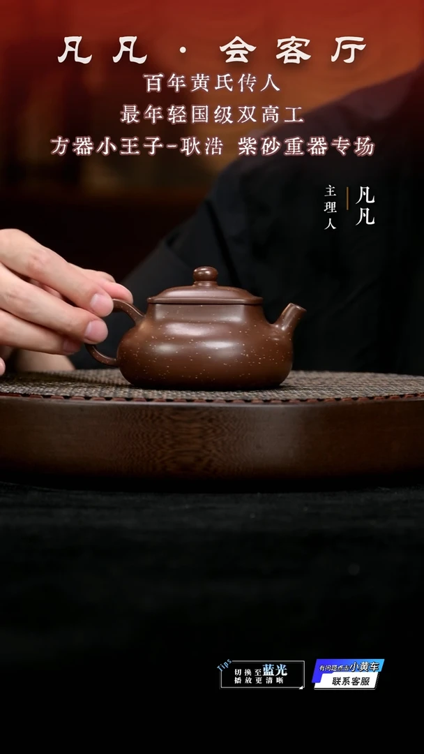 茶壶紫砂凡凡会客厅 紫砂壶09