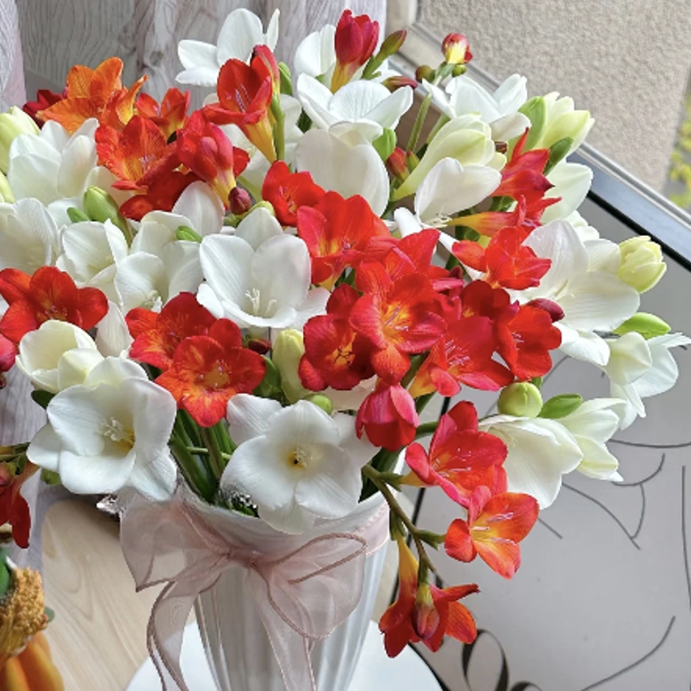 【一品花集】【白月光+朱砂痣】香雪兰