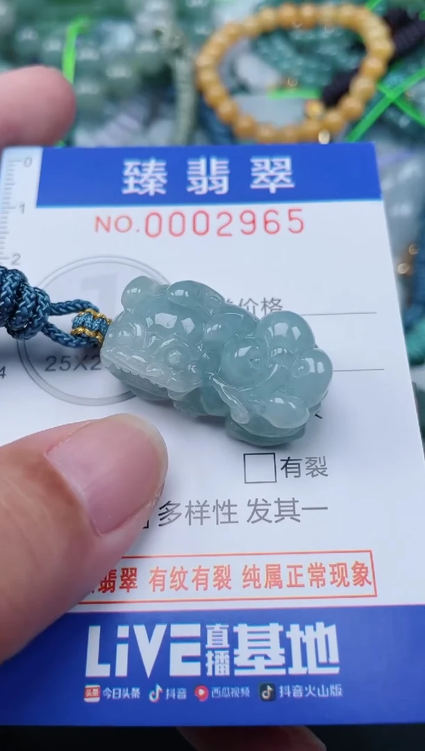 翡翠未镶嵌颈饰.0002965